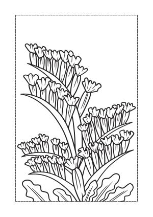 Çiçek boyama sayfası, Flower coloring page, , 