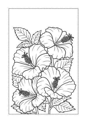 Çiçek boyama sayfası, Flower coloring page, , 