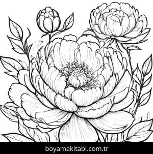 Çiçek boyama sayfası, Flower coloring page, , 
