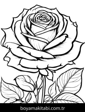 Çiçek boyama sayfası, Flower coloring page, , 