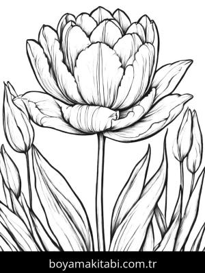 Çiçek boyama sayfası, Flower coloring page, , 