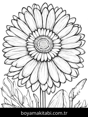 Çiçek boyama sayfası, Flower coloring page, , 