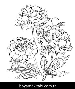 Çiçek boyama sayfası – boyama etkinliği, çocuk aktivitesi