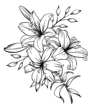 Çiçek boyama sayfası, Flower coloring page, , 