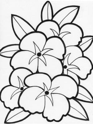 Çiçek boyama sayfası, Flower coloring page, Çok Güzel Çiçek, 