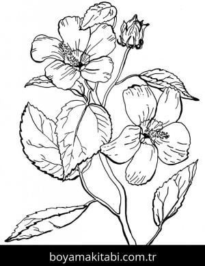 Çiçek boyama sayfası – eğlenceli etkinlik, el becerilerini geliştirir