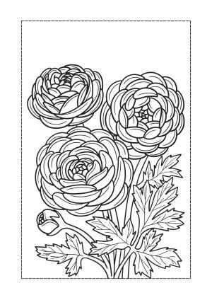 Çiçek boyama sayfası, Flower coloring page, , 