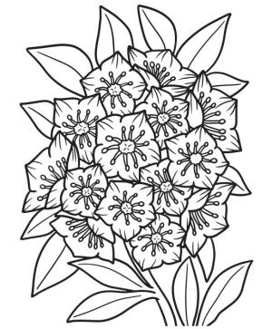 Çiçek boyama sayfası, Flower coloring page, , 