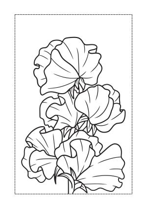 Çiçek boyama sayfası, Flower coloring page, , 