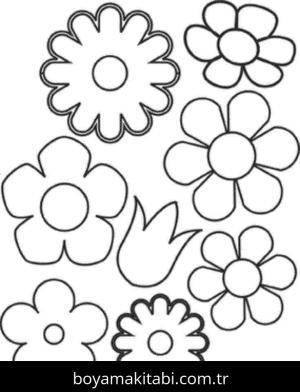Çiçek Boyama