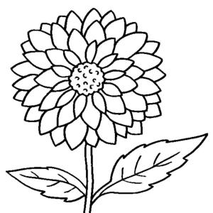 Çiçek boyama sayfası, Flower coloring page, Müthiş Çiçek, 