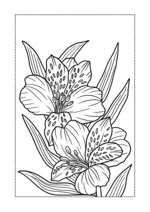 Çiçek boyama sayfası, Flower coloring page, , 