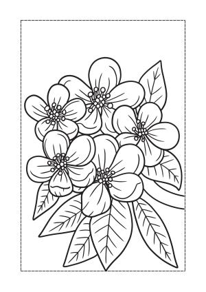 Çiçek boyama sayfası, Flower coloring page, , 