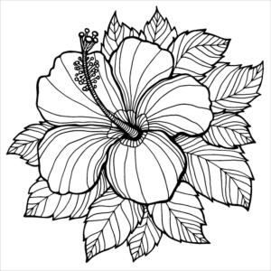 Çiçek boyama sayfası, Flower coloring page, Normal Çiçek, 