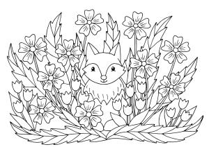 Çiçek boyama sayfası, Flower coloring page, Çiçek Çalısında Tilki, 