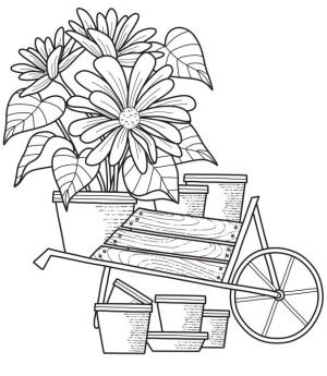 Çiçek boyama sayfası, Flower coloring page, , 