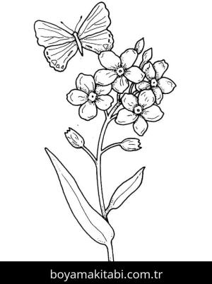 Çiçek Boyama