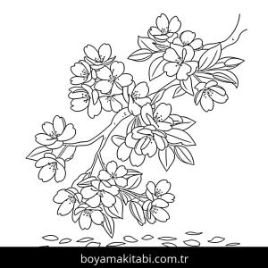 Çiçek boyama sayfası – renkli çizimler, okul öncesi