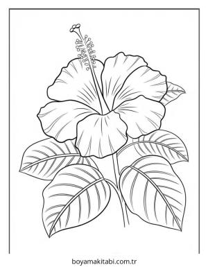 Çiçek boyama sayfası – renkli çizimler, okul öncesi