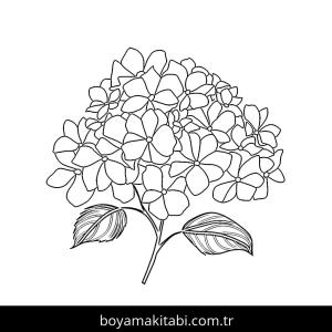 Çiçek boyama sayfası – yaratıcılık, eğlenceli etkinlik