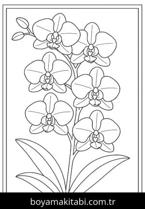 Çiçek boyama sayfası, Flower coloring page, , 