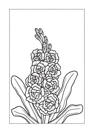 Çiçek boyama sayfası, Flower coloring page, , 