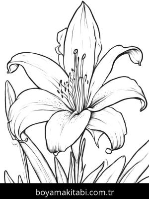 Çiçek boyama sayfası, Flower coloring page, , 