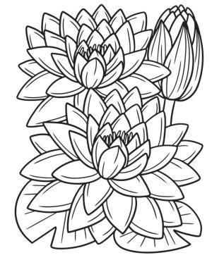 Çiçek boyama sayfası, Flower coloring page, , 