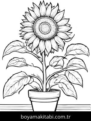 Çiçek boyama sayfası, Flower coloring page, , 