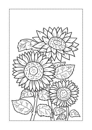 Çiçek boyama sayfası, Flower coloring page, , 