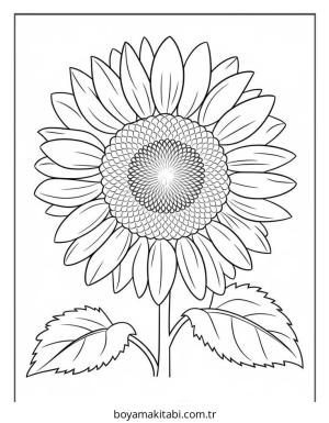 Çiçek Boyama
