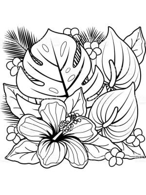 Çiçek boyama sayfası, Flower coloring page, Iyi çiçek, 