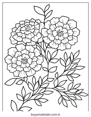Çiçek Boyama