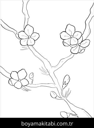 Çiçek boyama sayfası – eğitici aktivite, yaratıcılık