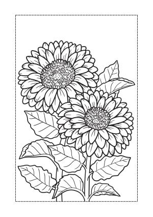 Çiçek boyama sayfası, Flower coloring page, , 