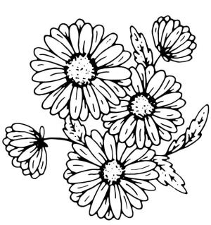 Çiçek boyama sayfası, Flower coloring page, , 