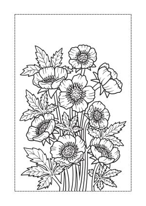 Çiçek boyama sayfası, Flower coloring page, , 