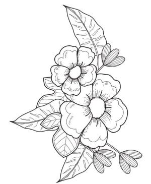 Çiçek boyama sayfası, Flower coloring page, , 