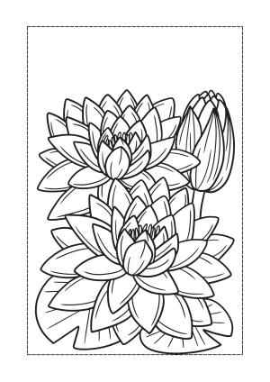 Çiçek boyama sayfası, Flower coloring page, , 