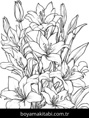 Çiçek boyama sayfası, Flower coloring page, , 