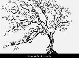 Çiçek boyama sayfası – renkli çizimler, okul öncesi