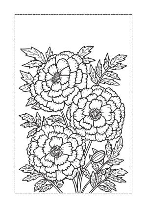 Çiçek boyama sayfası, Flower coloring page, , 