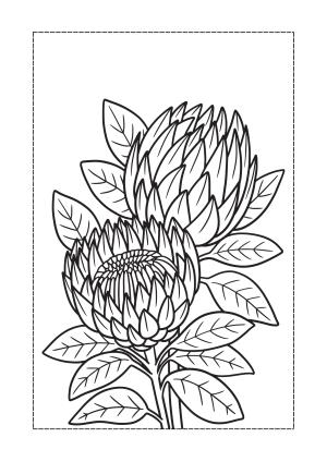 Çiçek boyama sayfası, Flower coloring page, , 