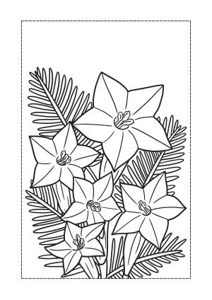 Çiçek boyama sayfası, Flower coloring page, , 