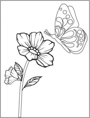 Çiçek boyama sayfası, Flower coloring page, Kelebek ve Çiçek, 