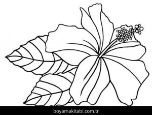Çiçek boyama sayfası – keyifli zaman, renkli çizimler