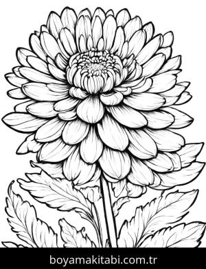 Çiçek boyama sayfası, Flower coloring page, , 