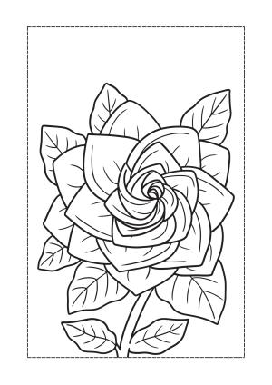 Çiçek boyama sayfası, Flower coloring page, , 