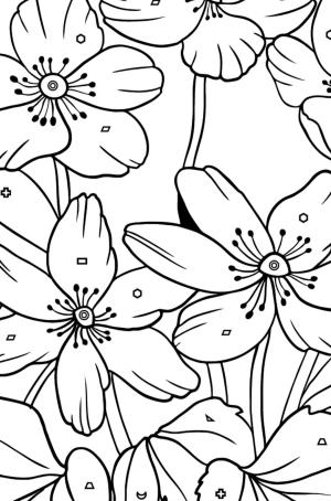 Çiçek boyama sayfası, Flower coloring page, Mükemmel Çiçek, 