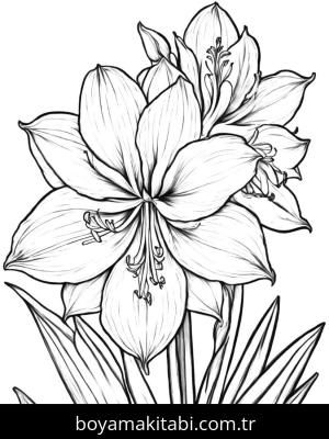 Çiçek boyama sayfası, Flower coloring page, , 